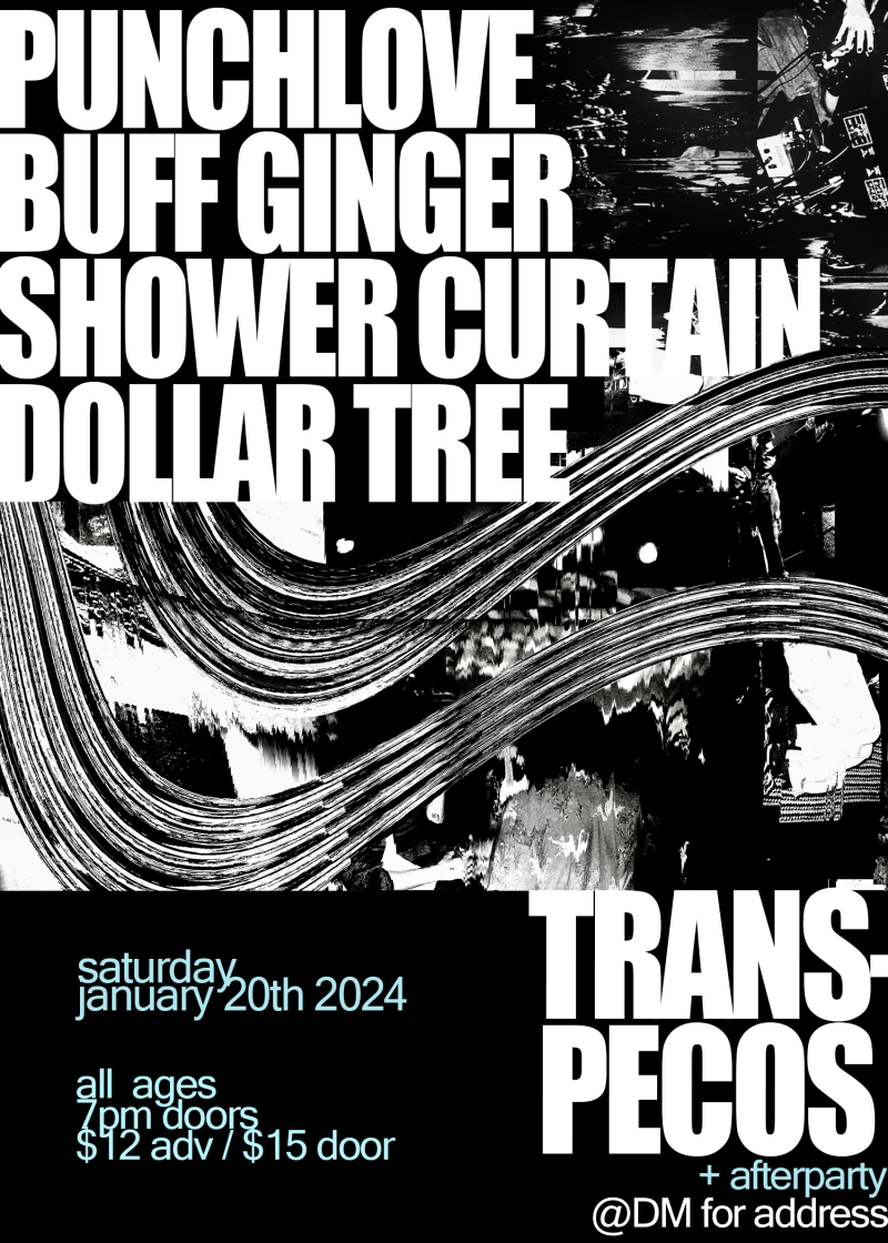 Punchlove, Buff Ginger, Shower Curtain, Dollar Tree 20 JAN 2024