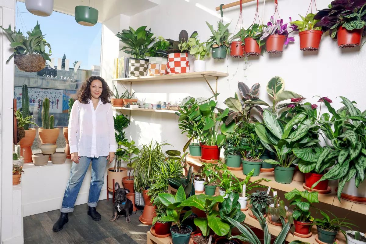 Best Plant Shops in LA