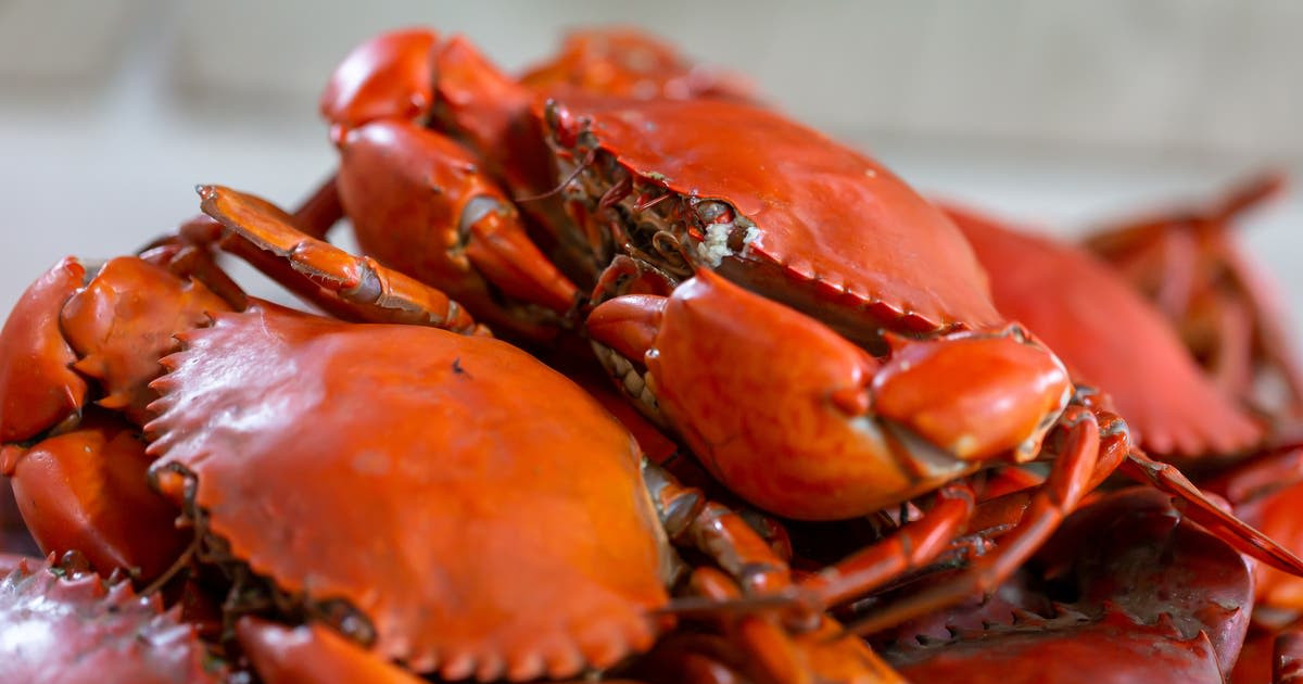 San Jose I.E.S. AllYouCanEat Crab Feed 2024 in The Bay Area at