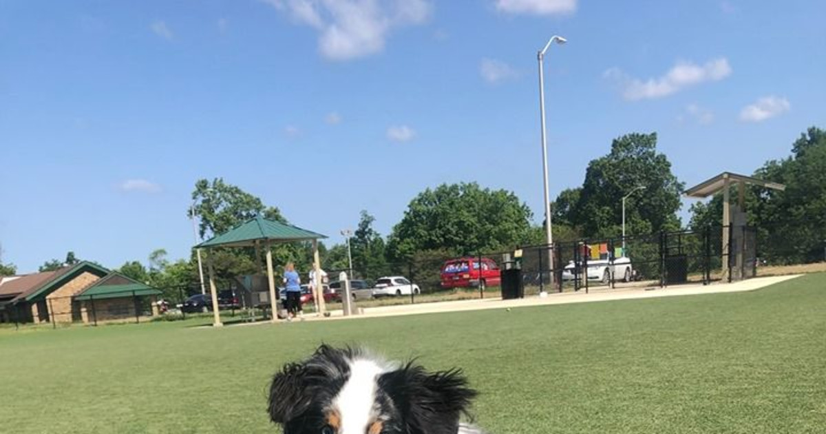 Broad Ripple Bark Park Grand Opening in Indianapolis at Broad