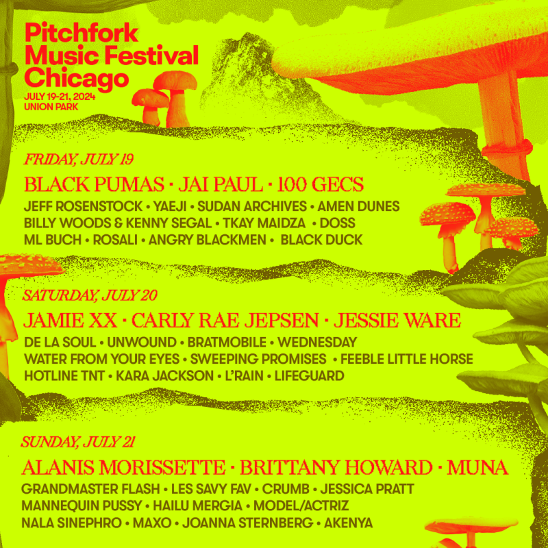 Pitchfork Music Festival in Chicago at Union Park