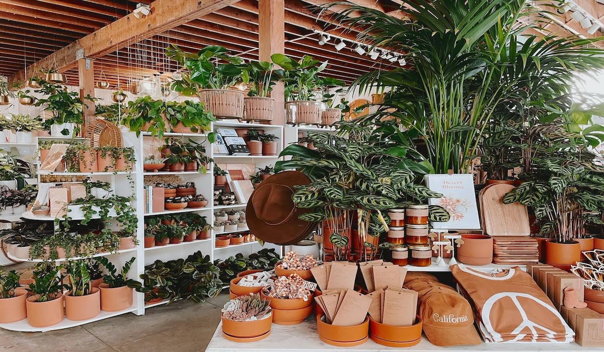 Best Plant Shops and Nurseries in SD