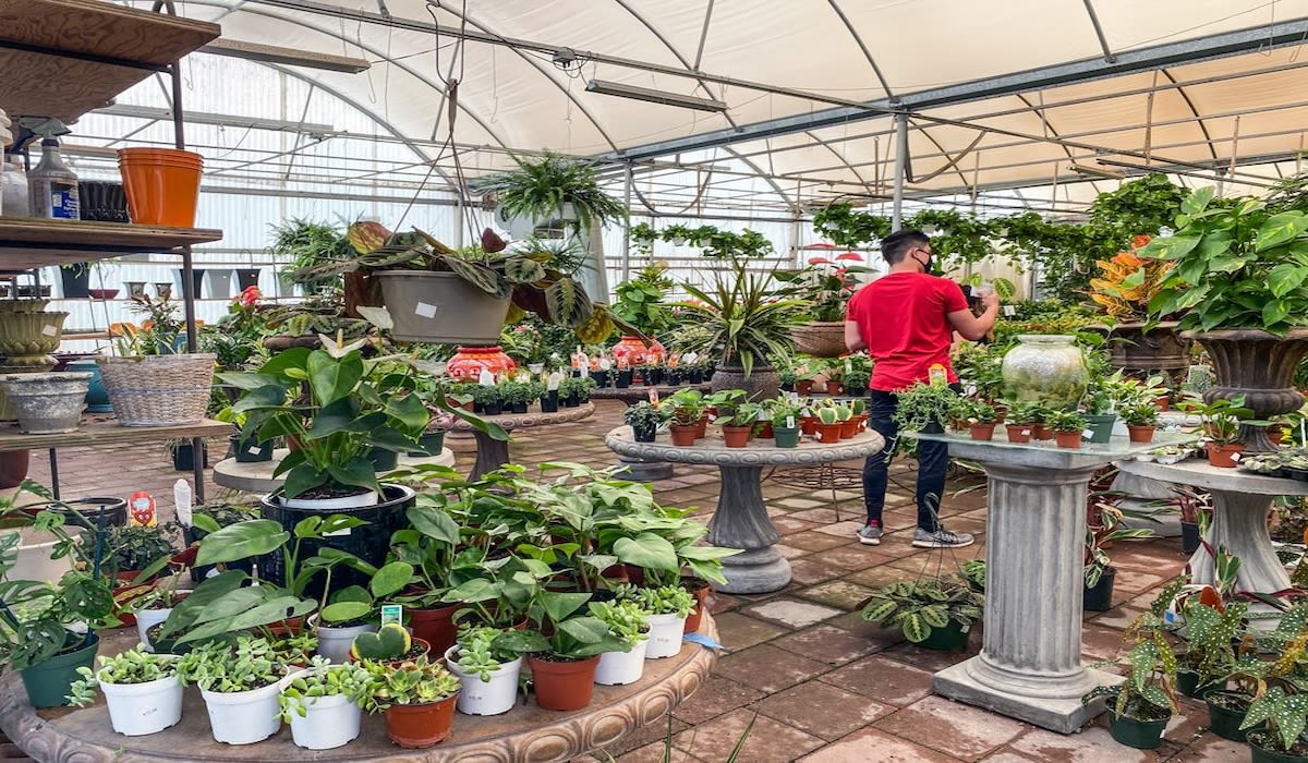 Best Plant Shops and Nurseries in SD