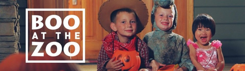 Boo At The Zoo In Kansas City At Kansas City Zoo