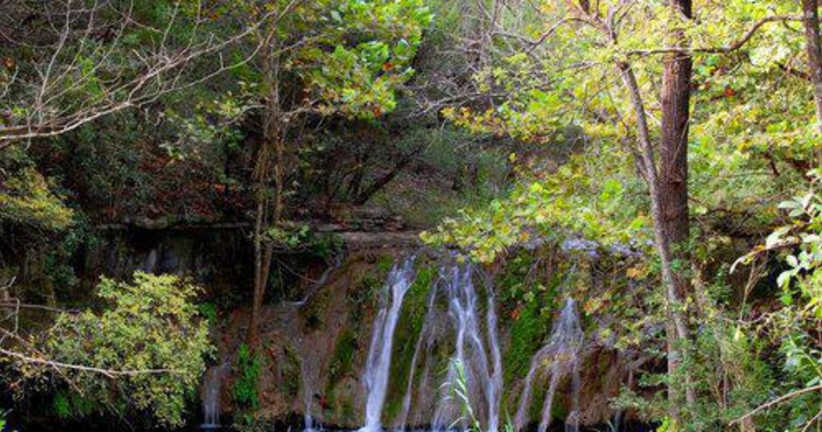 Second Saturday Guided Hike at Wild Basin in Austin at Wild Basin