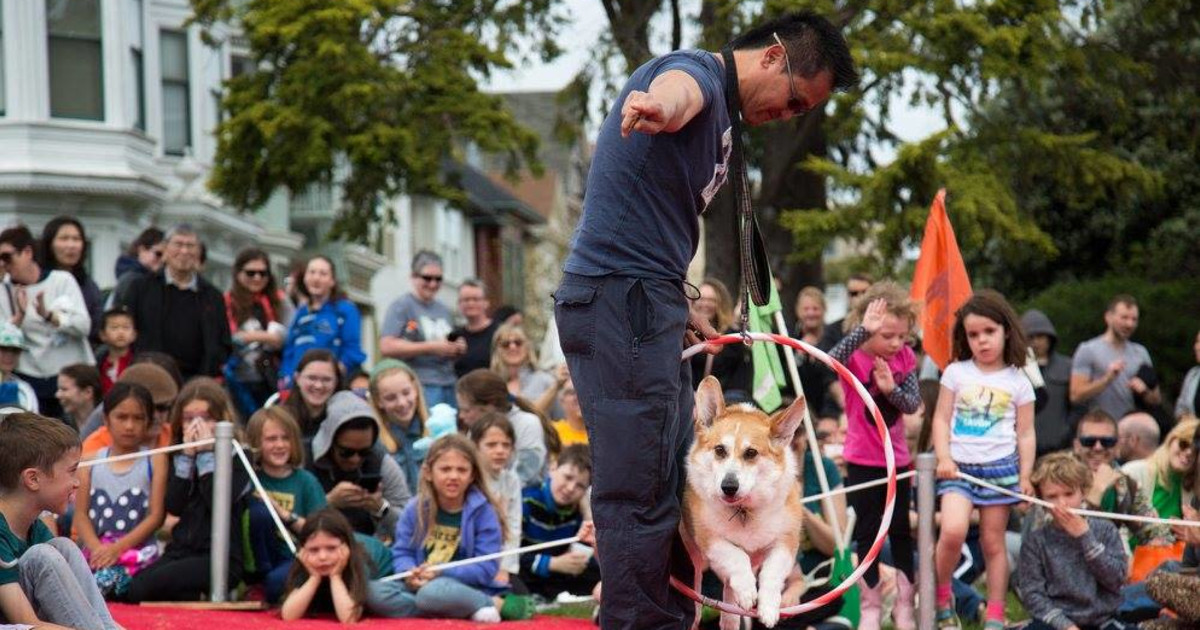 17th Annual Dogfest 2024 in San Francisco at Duboce Park