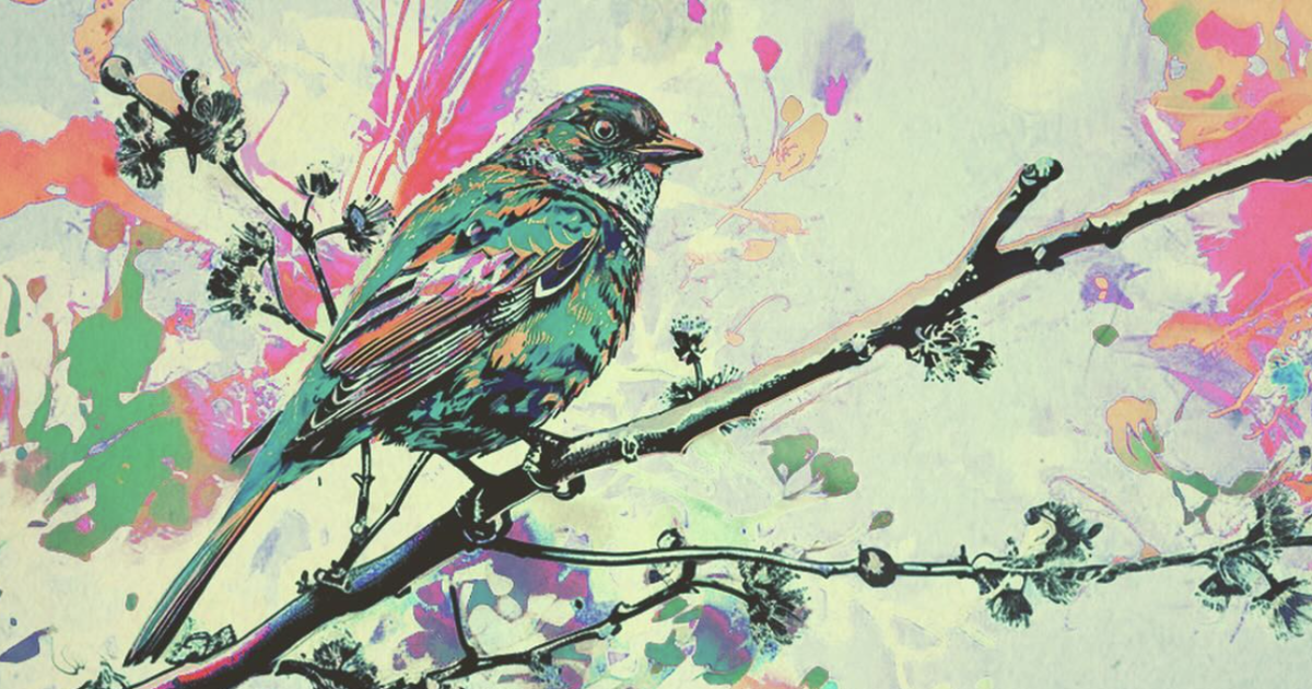 Half Step April Sundaze Touch of Trey in Austin at Half Step