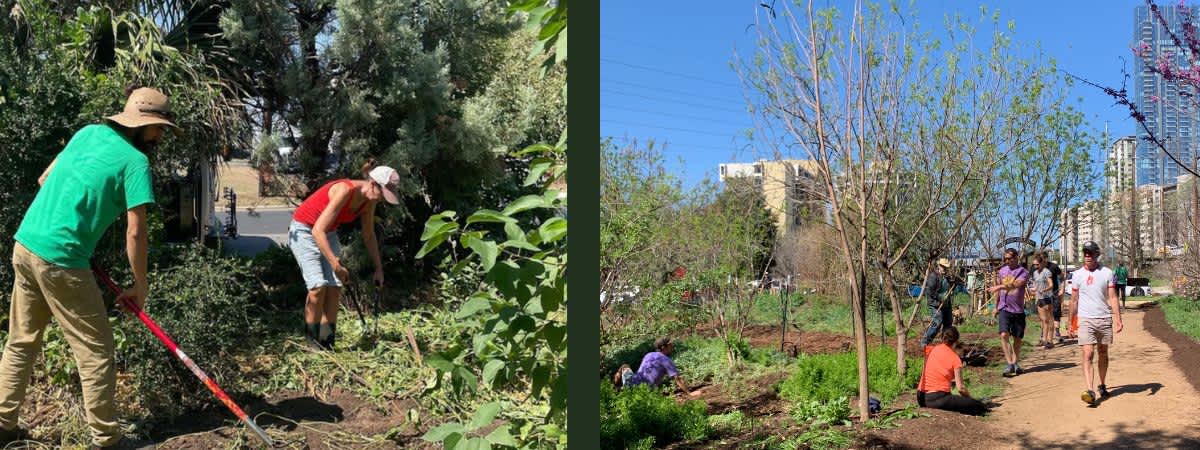 Second Saturday Community Workday