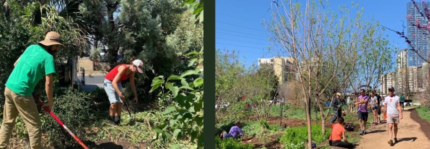 Second Saturday Community Workday