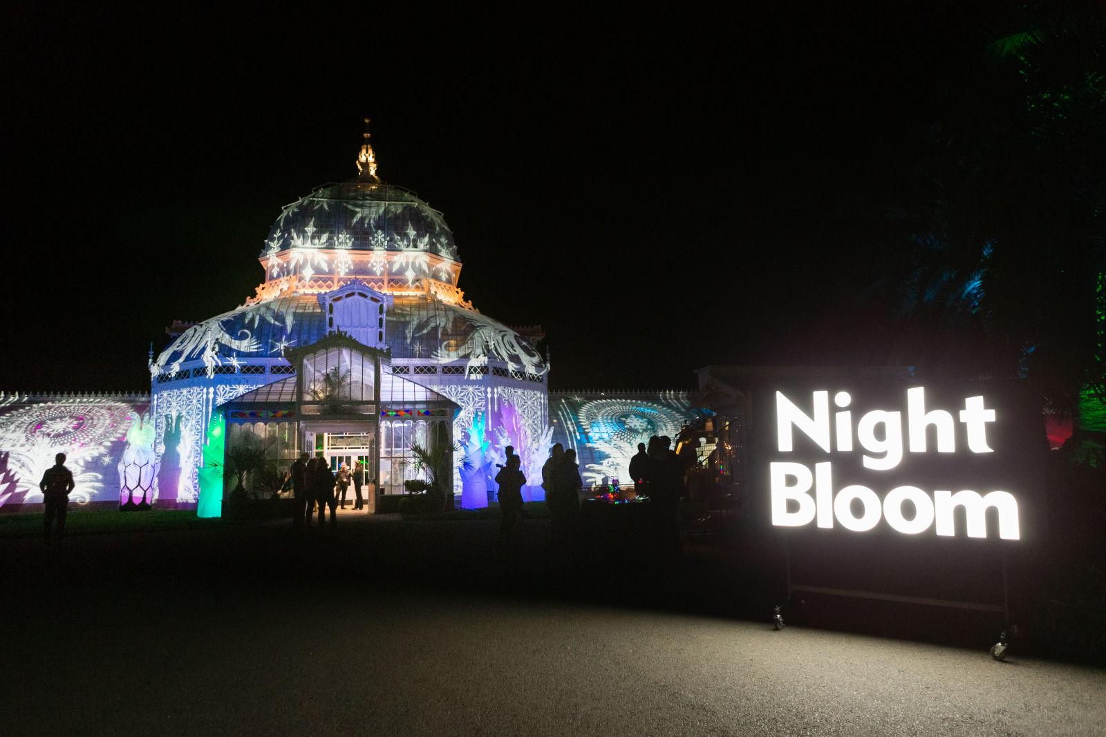 Night Bloom in San Francisco at San Francisco Conservatory of