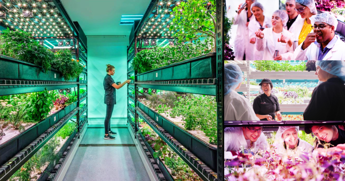 Private Tour & Tasting Farm.One's CuttingEdge Hydroponic