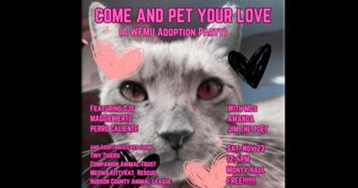 Come and Pet Your Love Cat Adoption Party in Jersey City at Monty