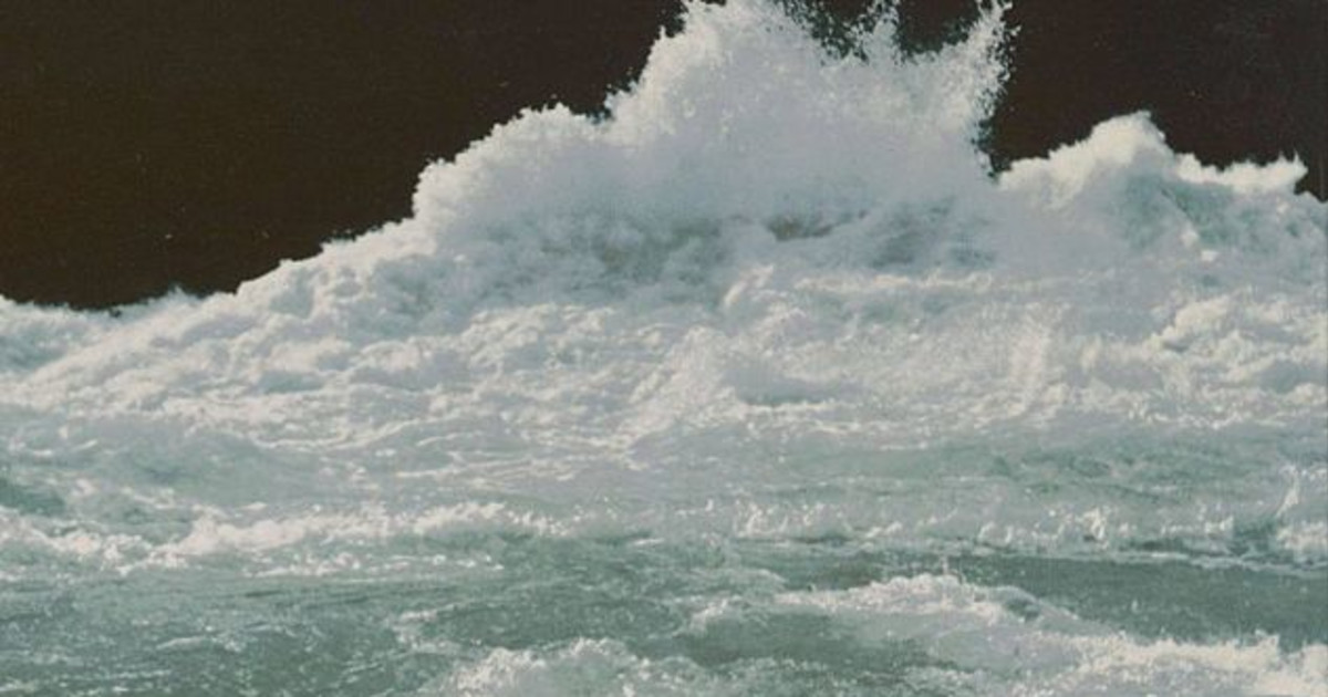 Waterfowl, Glass Beaches, The Winter Shakers in Seattle at The