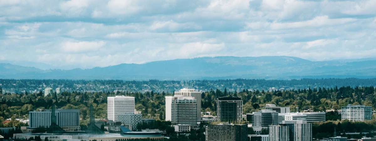 DidPDX: The Year in Review 2024 cover