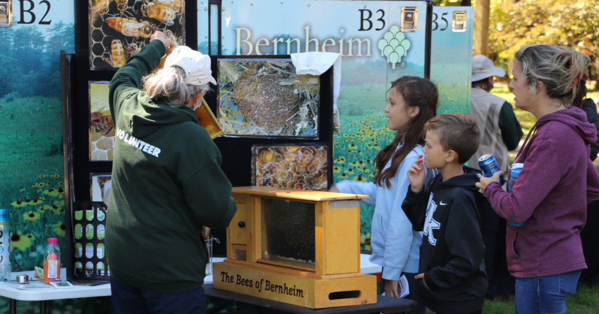 eco-kids-discovery-day-in-clermont-at-bernheim-forest-and