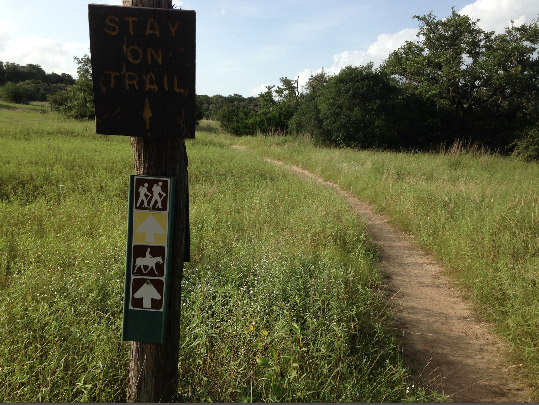 The Best Hiking Spots in Austin