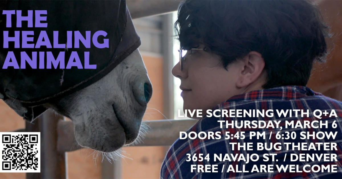 The Healing Animal in Denver at The Bug Theatre