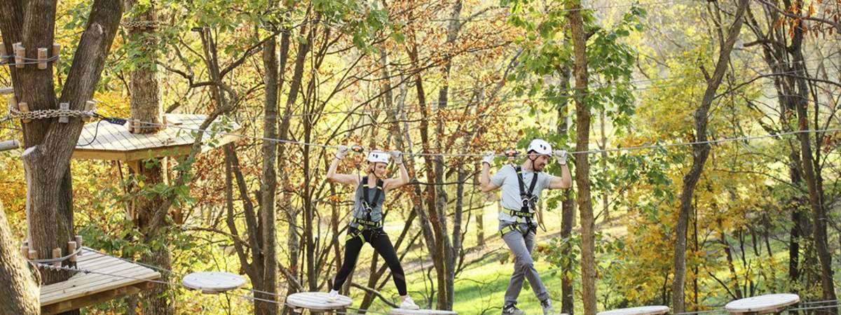 Aerial Adventure Course