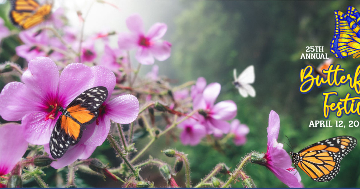 2025 Butterfly Festival in Wimberley at The EmilyAnn Theatre
