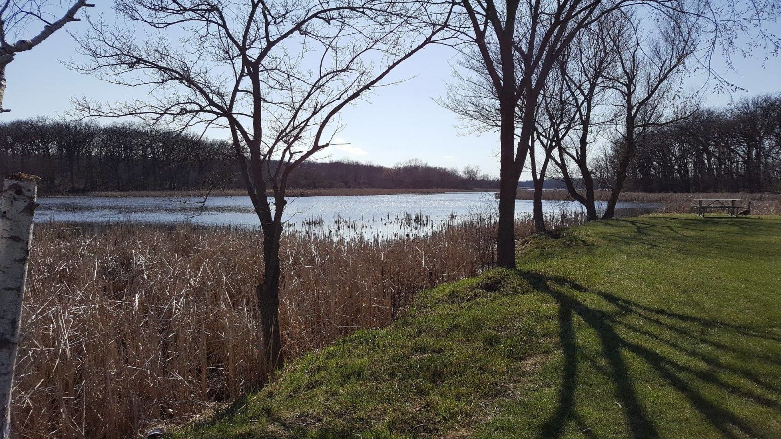 Where To Go Hiking Near Chicago