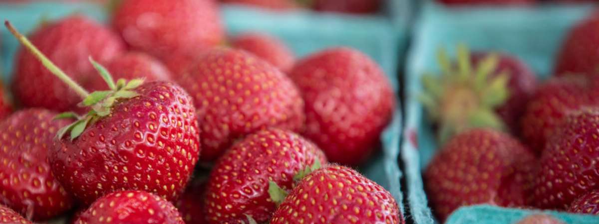 Headhouse Farmers Market