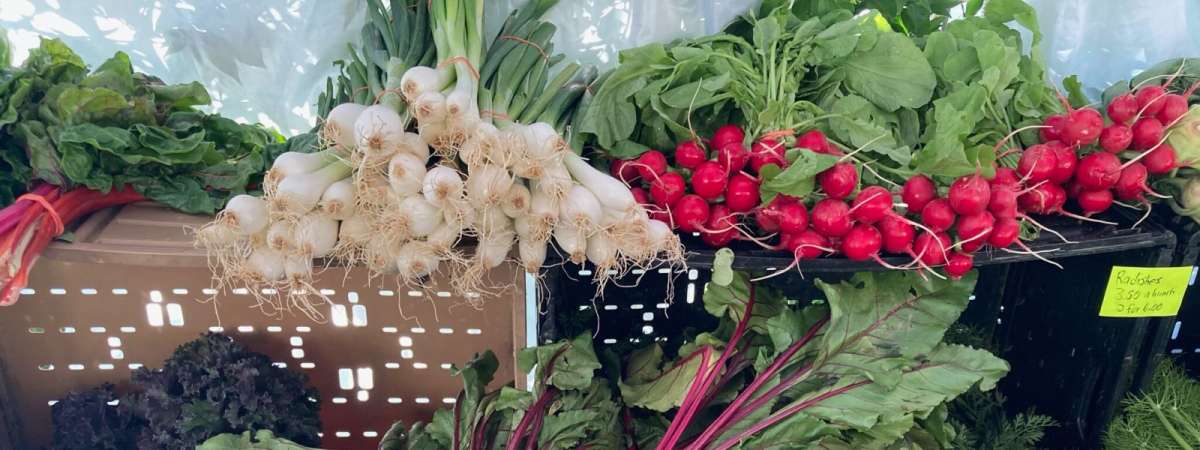 Fairmount Farmers Market