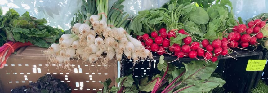 Fairmount Farmers Market