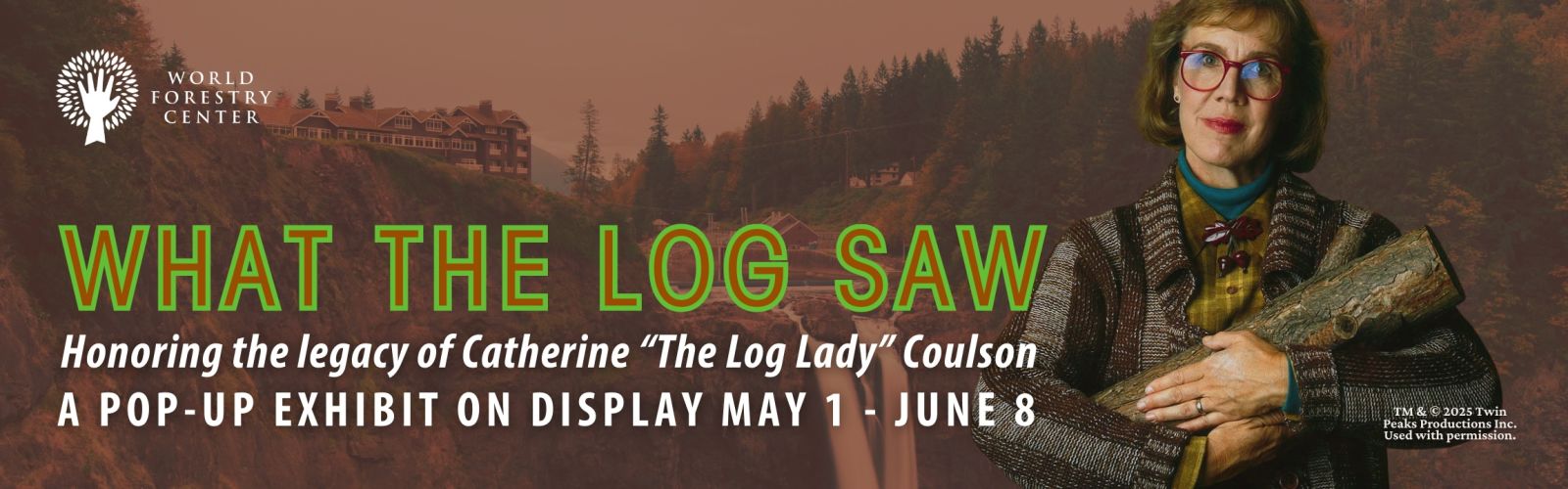 What the Log Saw: Honoring the Legacy of Catherine 