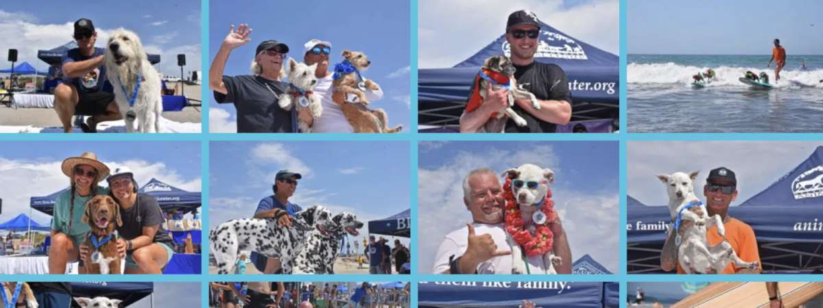 21th Annual Surf Dog Surf-A-Thon