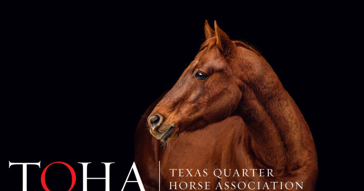 TQHA Annual Yearling Sale in San Antonio at Freeman Coliseum