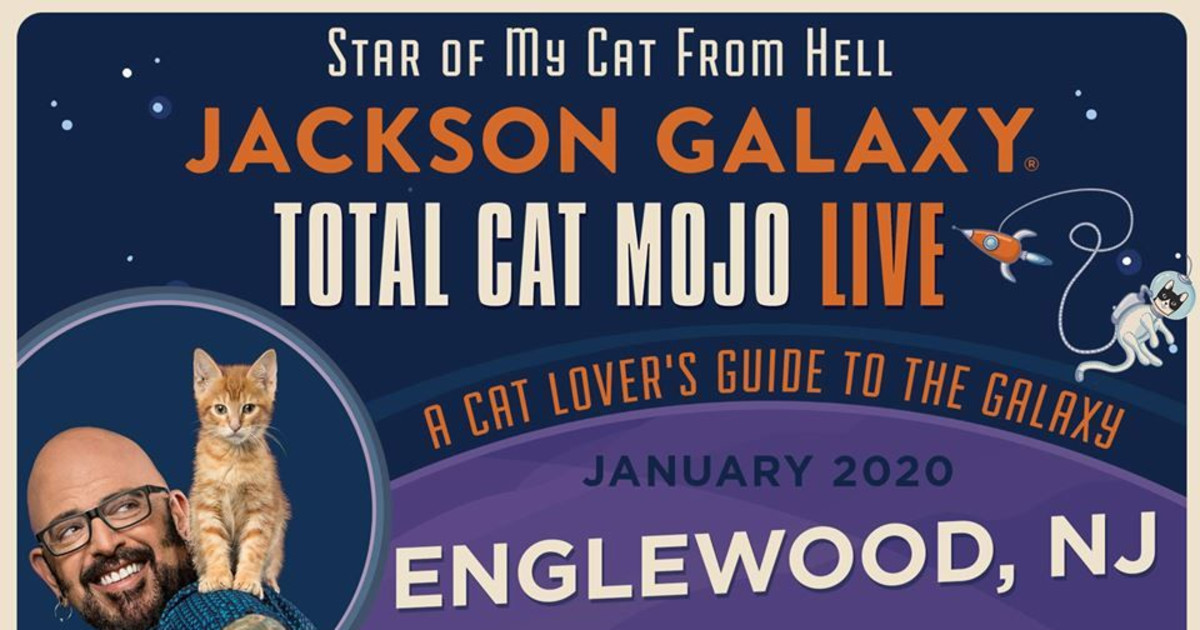 jackson galaxy total cat mojo