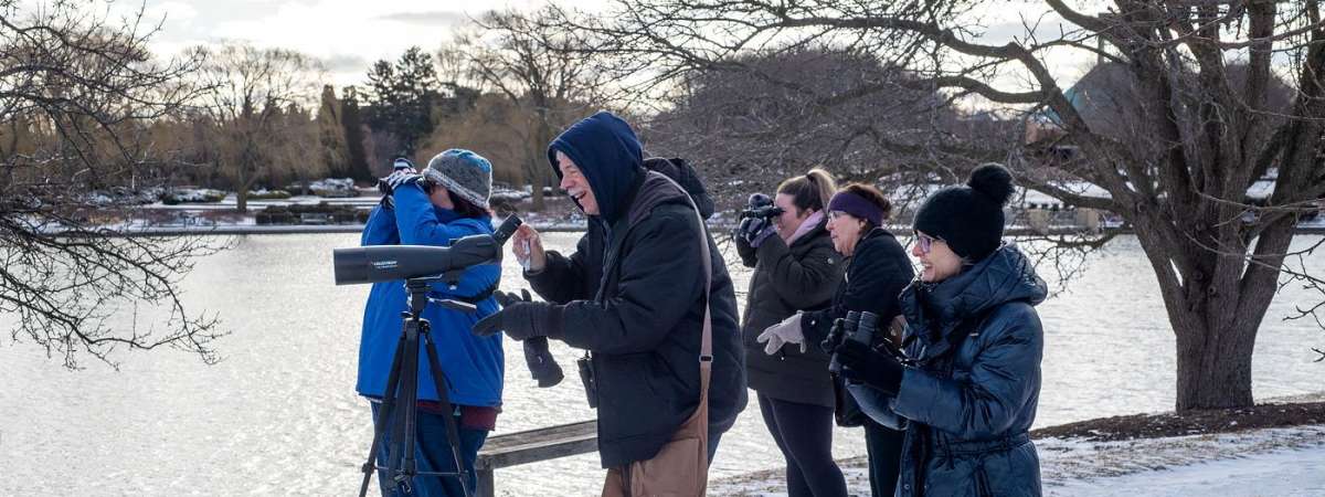 Winter Bird Walk