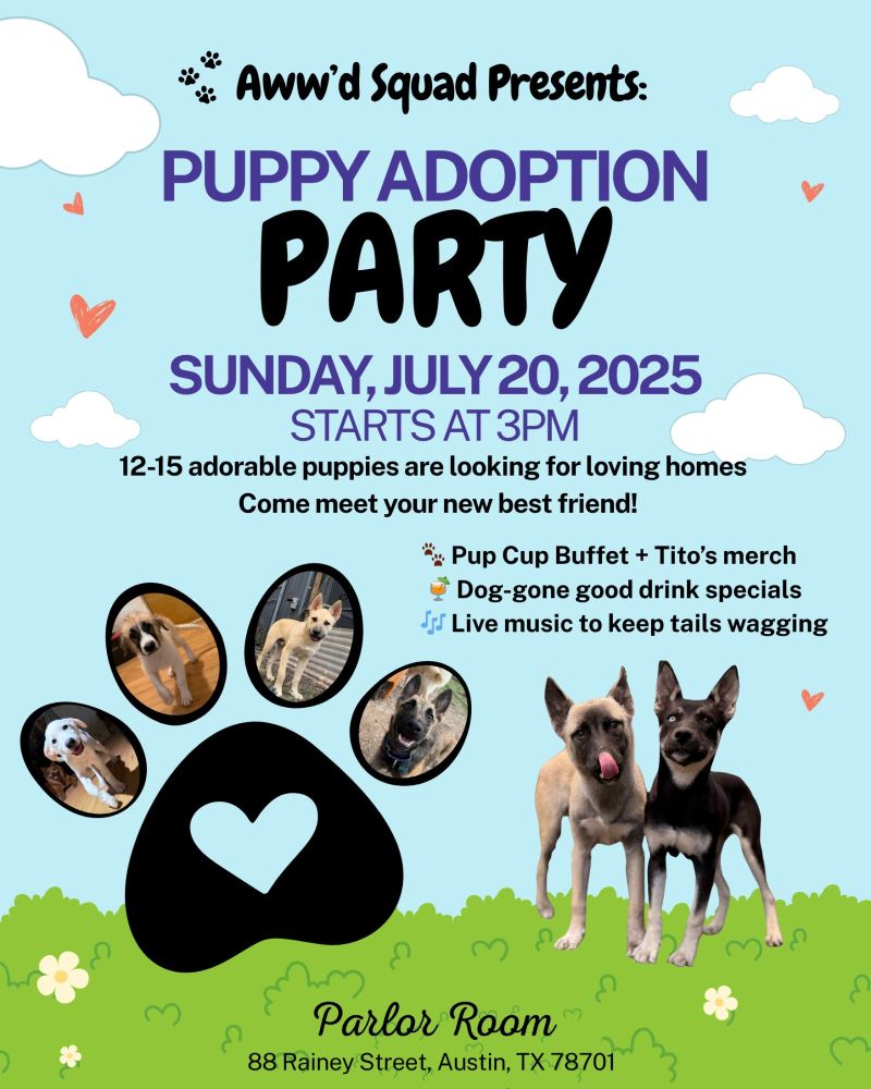 Stray Dogs Pet Adoption Events Near Me Today National Adoption