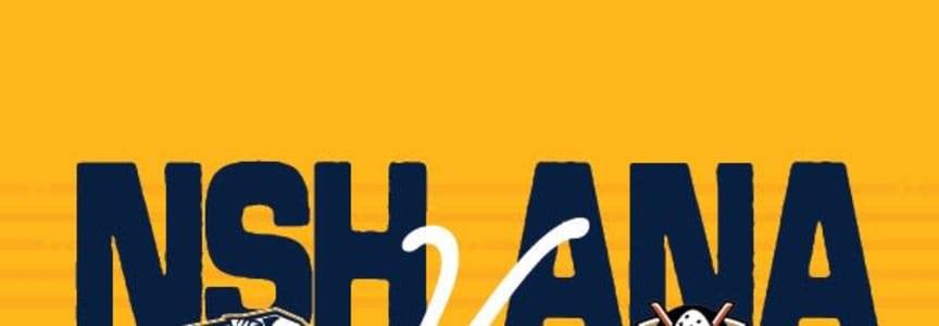 Nashville Predators vs Anaheim Ducks at Bridgestone Arena in Nashville, TN