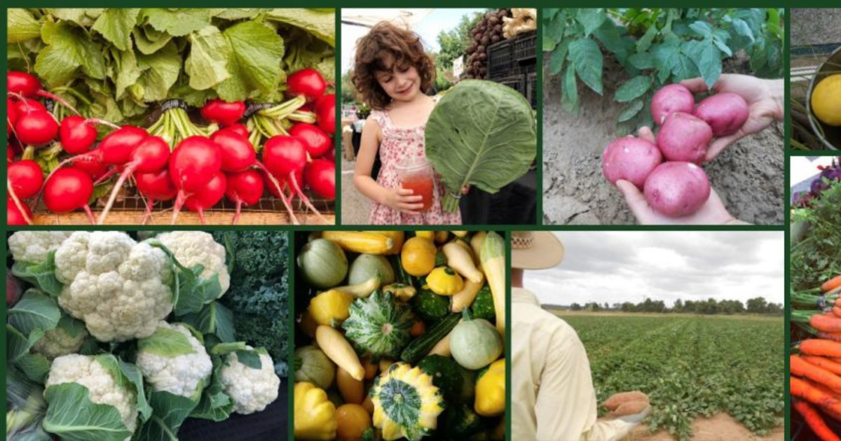 Barton Creek Farmers Market