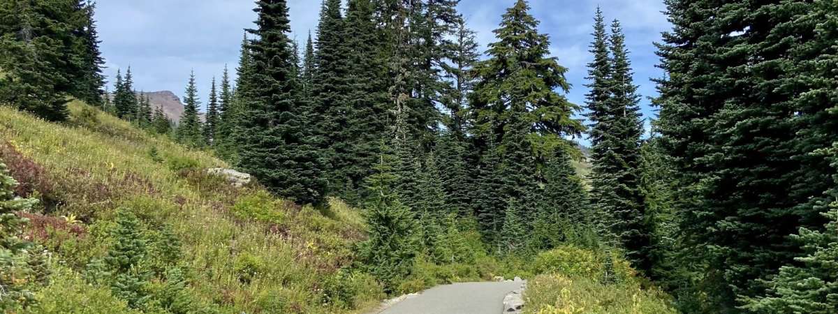 The Best Hiking in and Around Portland cover