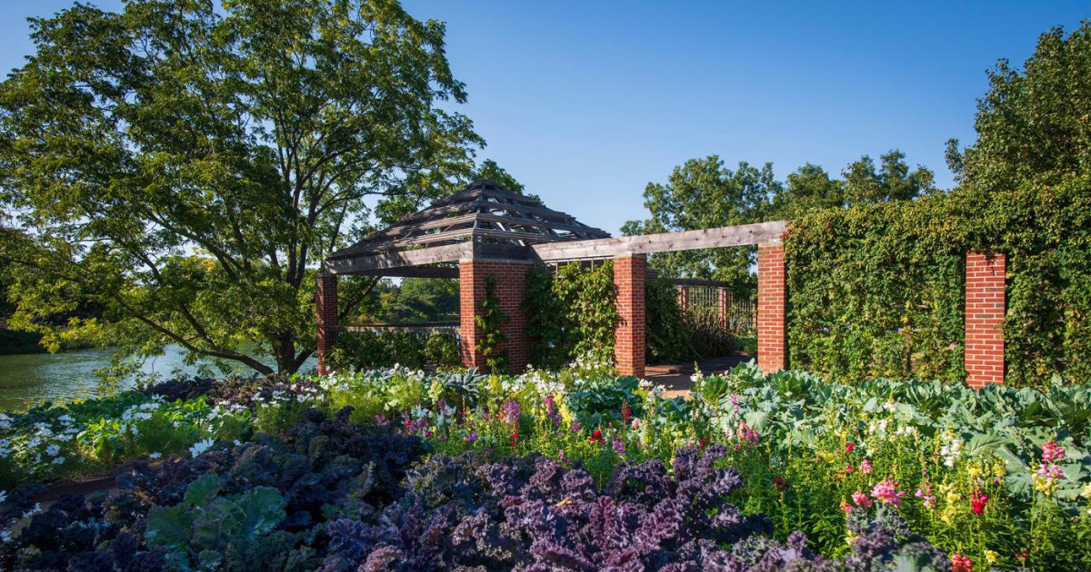 Arno Fischer『Der Garten / The Garden』写真集 Arno Fischer『Der Garten / The Garden』写真集 Arno Fischer
