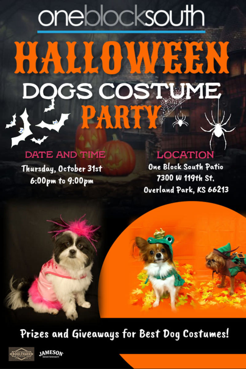 Halloween 2022 Dog Events Near Me