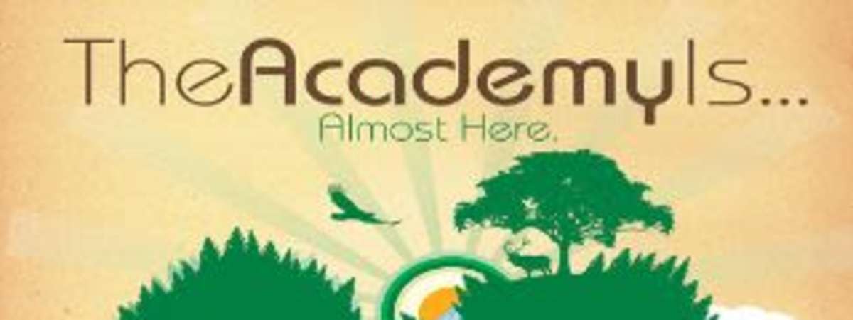 The Academy Is..., little image