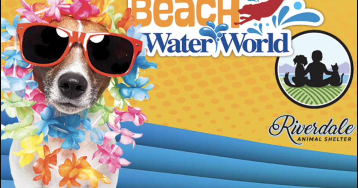 Bow Wow Beach Doggie Day in Federal Heights at Water World