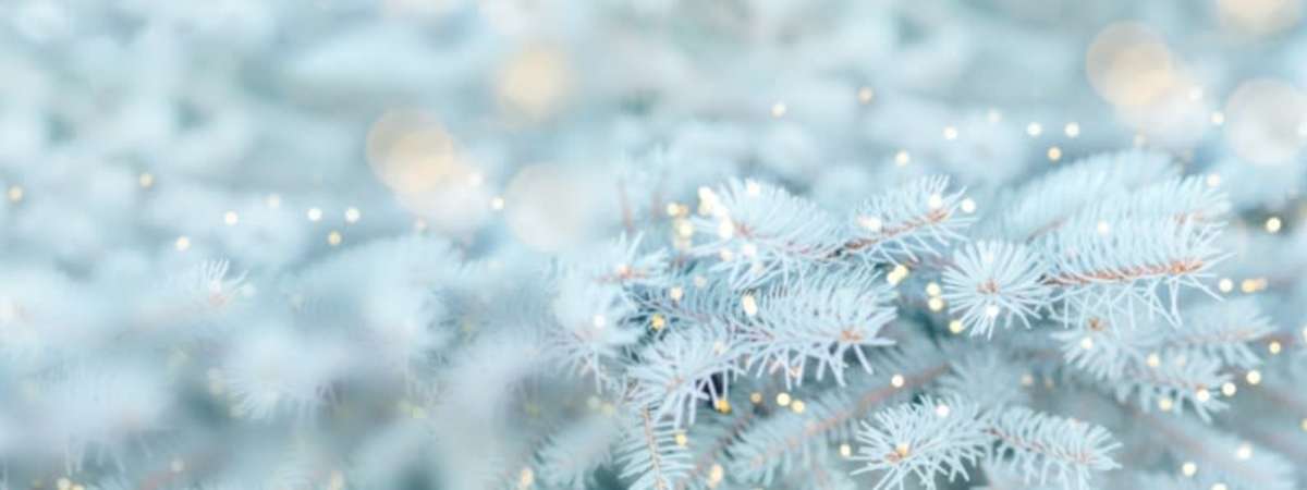 Holiday Pops with the CSO: Spirit of the Season