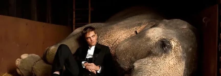 From Theatre to Theatre with TPAC: Water for Elephants (2011) at Franklin Theatre in Nashville, TN