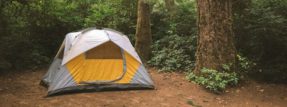 Where to Go Camping in Portland cover