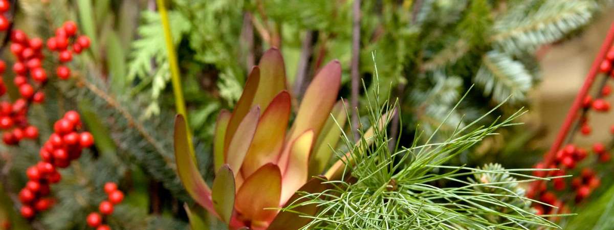 Holiday Centerpiece Garden