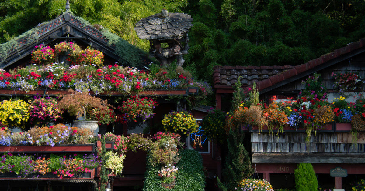 Seattle Highlights: Alki Flower Houses