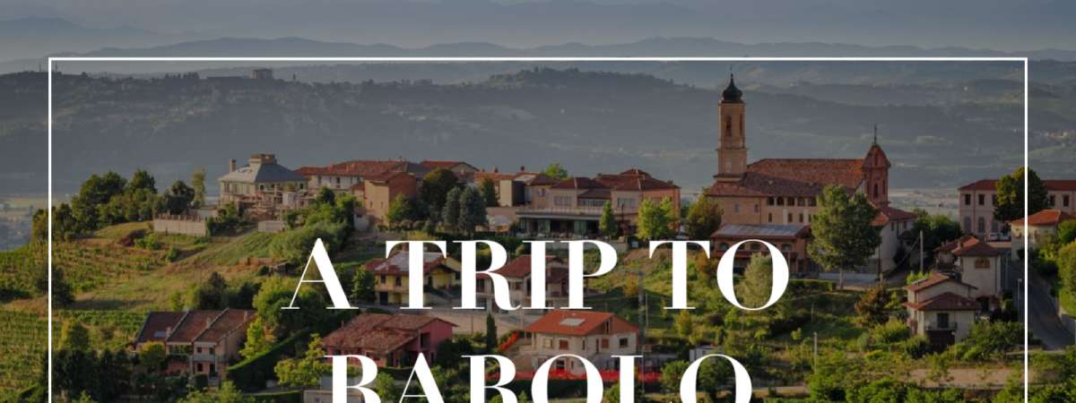 A Trip to Barolo