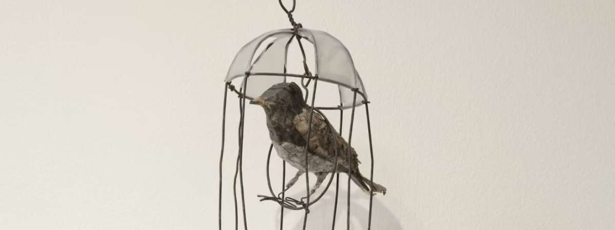 Sedrick Huckabys Black Bird Redemption Song