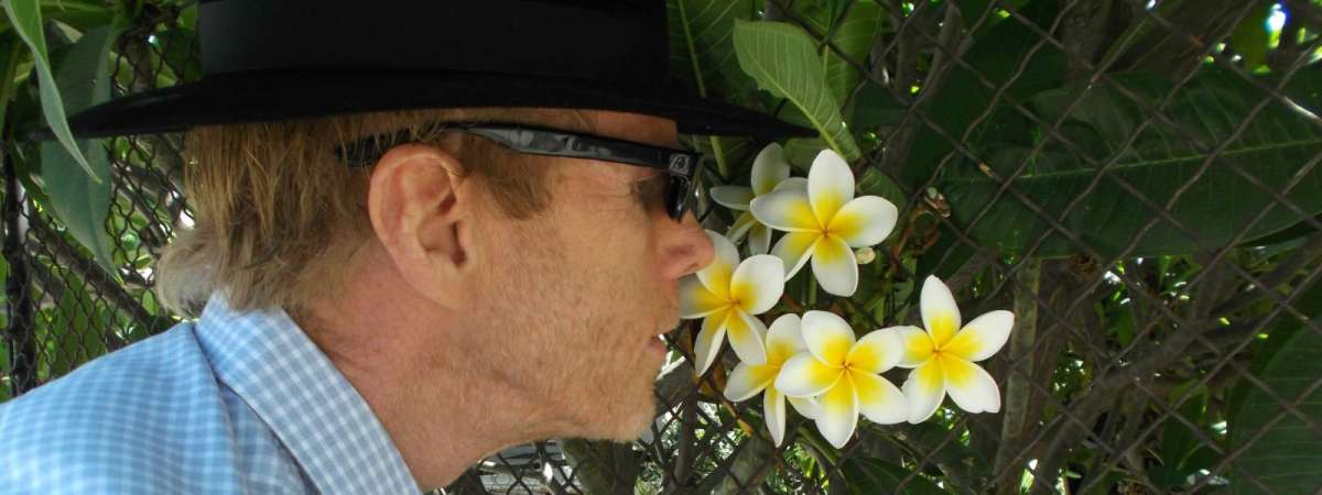 An evening with JANDEK