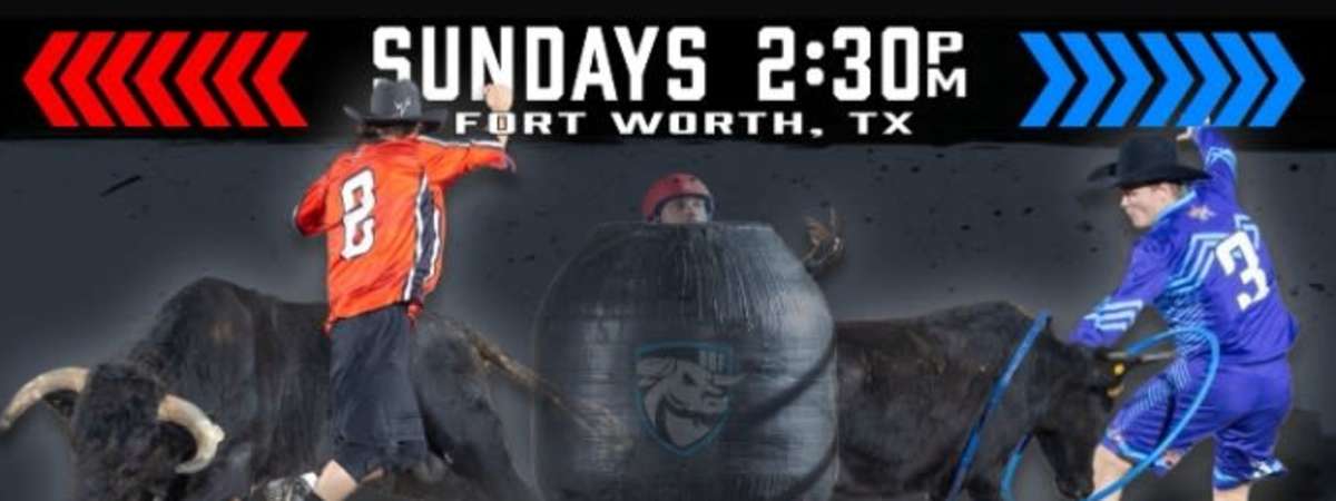 Ultimate Bullfighters