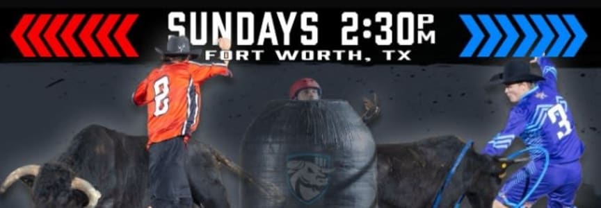 Ultimate Bullfighters 6/21
